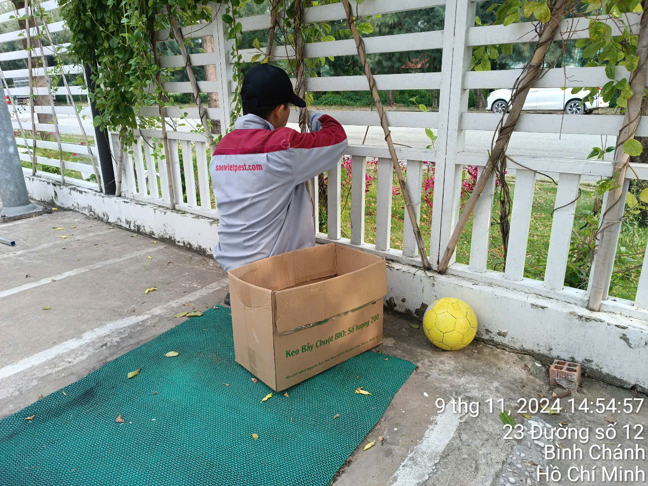 Dịch vụ diệt côn trùng - Công Ty TNHH Kiểm Soát Côn Trùng Sao Việt